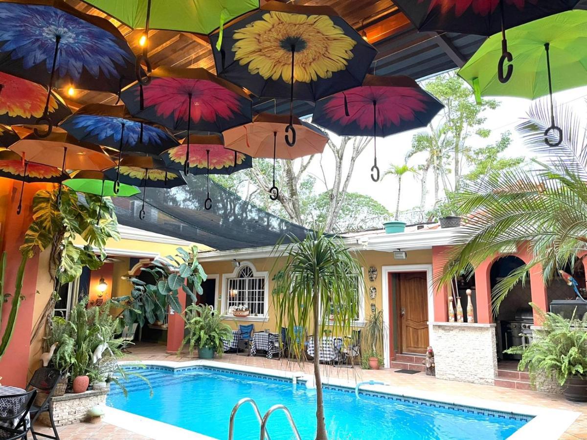 Refugio De La Montana B&B San Pedro Sula Zewnętrze zdjęcie
