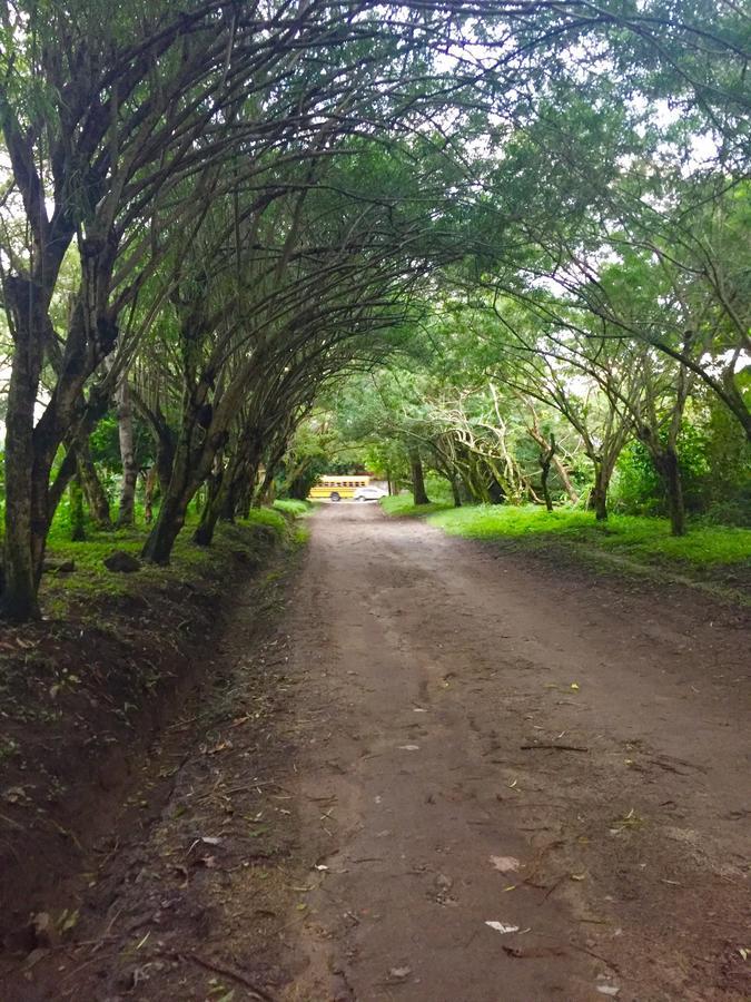 Refugio De La Montana B&B San Pedro Sula Zewnętrze zdjęcie